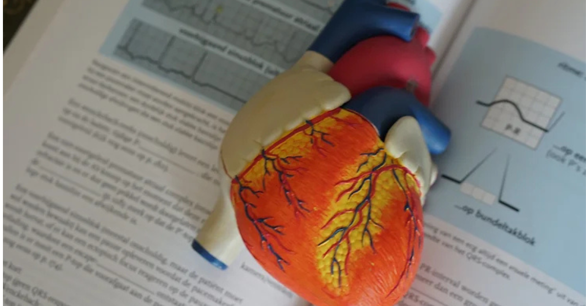 We all Bleed the Same